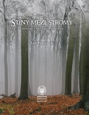 Stíny mezi stromy