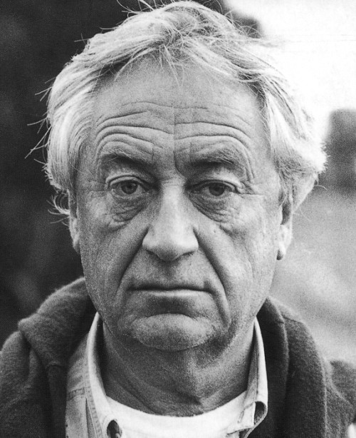 Quijote Quichot Quichotte Quixote