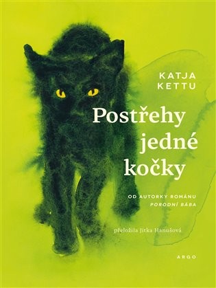 Ezokočka z Bídojed