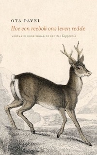 Cena Libris a česko-nizozemské literární novinky