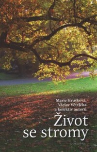 Vztah ke stromům v zemích Koruny české