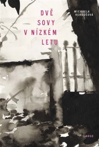Dvě sovy v nízkém letu